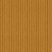 Amber by Apartment Therapy