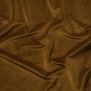 Recycled Velvet