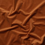 Recycled Velvet